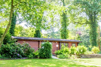 Chalet accogliente con camino a gas a Twente