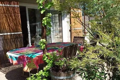 Schöne Villa in Morières-lès-Avignon mit Pool