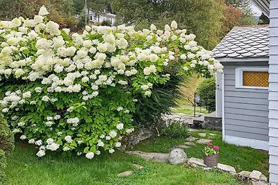 Maison de vacances pour 6 a Utvik