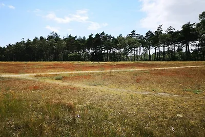 12 persone case ad Væggerløse-By Traum