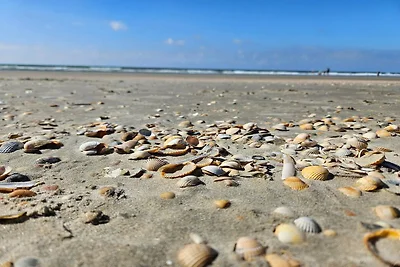 Ruhiger Ruckzug in Romo -- By Traum...