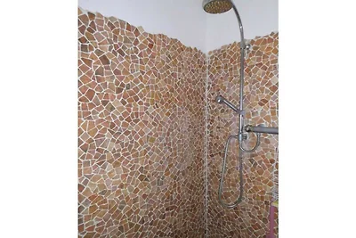 Finca met 1 slaapkamer