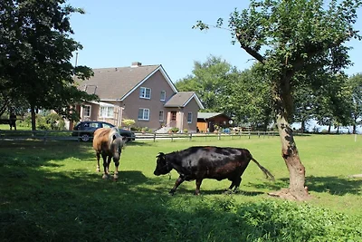 Ferienwohnung mit 2 Schlafzimmer