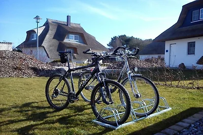 Ferienhaus mit Reetdach