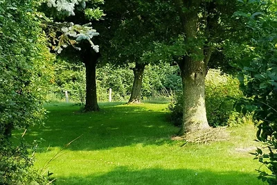 Reetdachkate in der Wiese