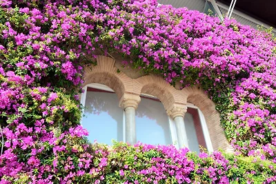 Apartment in Estartit near sea beach