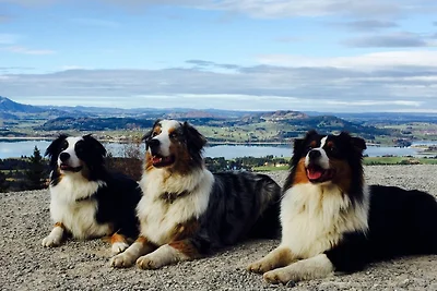 Omgeving (zomer) (1-5 km) Omgeving (zomer) (1-5 km)