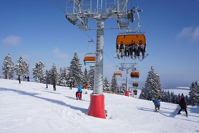 Geräumiges Appartement nahe Skigebiet in...