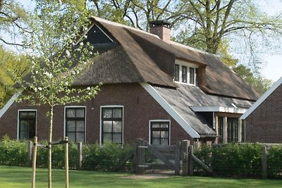 Charmantes Ferienhaus in Nijverdal mit...