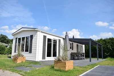 Chalet mit Terrasse in der Nähe der Veluwe
