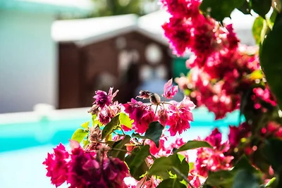 Villa in Saint-François mit Strandzugang