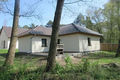 B 4 direkt am Netzener See