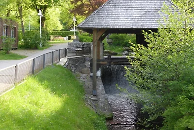 Teufelsschwanz || Lenzkirch