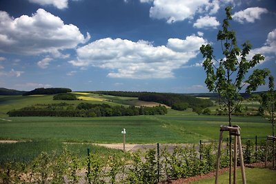 Luxuriöses Ferienhaus mit Geschirrspüler in d...