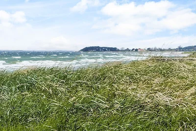 4 Personen Ferienhaus in Assens
