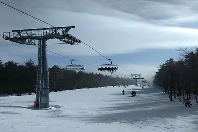 Olsberg Appartement dichtbij Skipistes