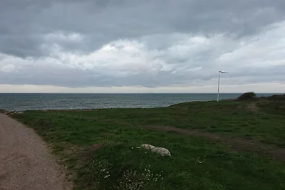 6 Personen Ferienhaus in Gilleleje-By Traum