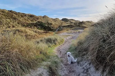 6 persone case ad Henne-By Traum