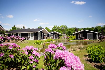 Modernes Chalet am Wasser in den Brabanter...