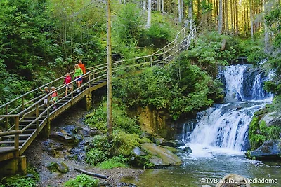 Großes Ferienhaus nahe Skigebiet
