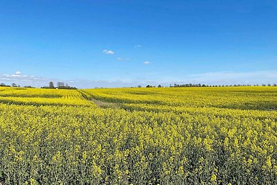 5 Sterne Ferienhaus in HÖÖR