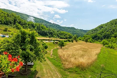 Sonnengeküsstes Bauernhaus in Fosciandora mit...