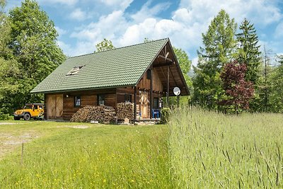 Mooi vakantiehuis met een natuurlijke beek om...