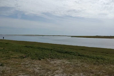 12 persoons vakantie huis in Læsø-By Traum