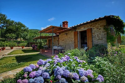 Farmhouse in Loro Ciuffenna with swimming...