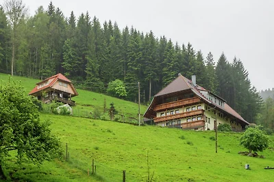 Casa vacanze Vacanza di relax Mühlenbach