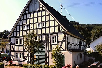 Altes Ferienhaus mit Sauna in Heinsberg