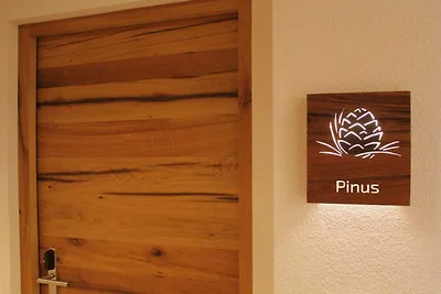 "Pinus" in het Ahrntal