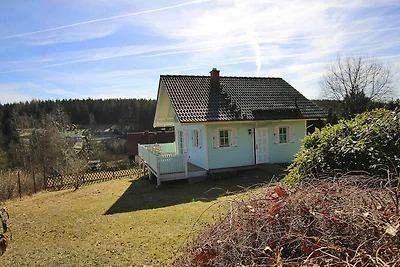 Ferienhaus , Tanne.