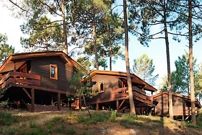 Wohnung in Frankreich nahe Pinienwald & Meer