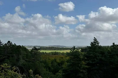 5 Personen Ferienhaus in Snedsted