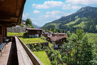 Chalet in Mayrhofen nahe Penkenbahn