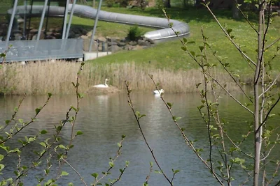 Huis 23 in Silbersee