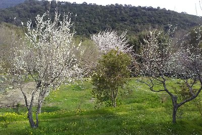 Tranquilla Casa Vacanze in Corsica con...