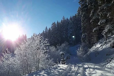 Wohnung in Lungau nahe Skipisten