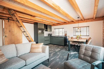 Ferienhaus in Woubrugge mit Wifi