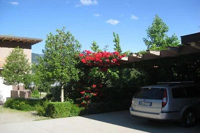 "Rosso" nella fattoria Sandweisen