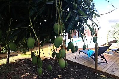 Villa in Saint-François mit Strandzugang