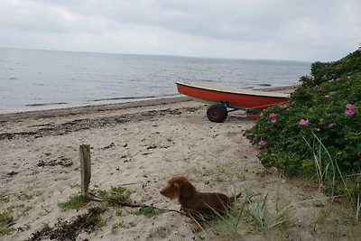 10 Personen Ferienhaus in Haderslev-By Traum