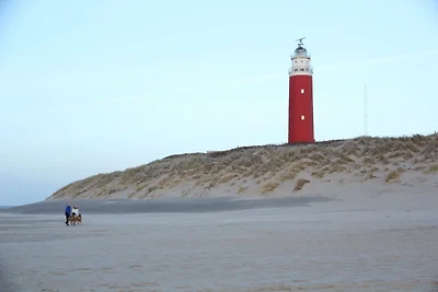 Boerderij in De Cocksdorp