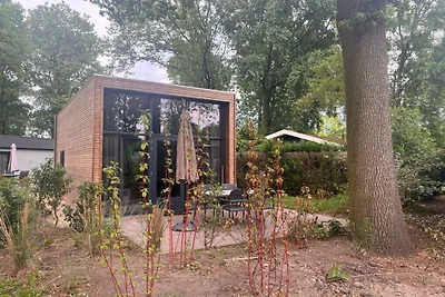 Vakantiehuis in Biddinghuizen met terras