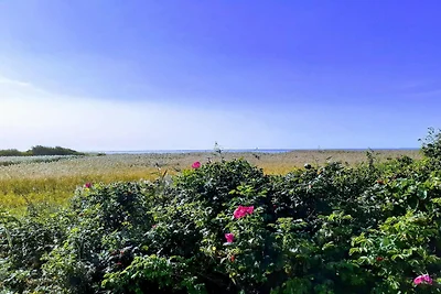 8 Personen Ferienhaus in Skjern-By Traum