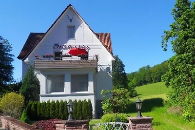 Traumhafte Wohnung in Bad Pyrmont mit...