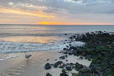 Ferienwohnung in Westerland auf Sylt