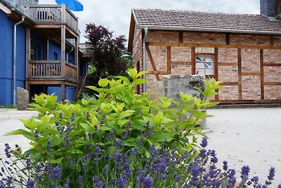 BluGarden "Echtholz"