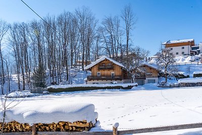 Ruim appartement bij skigebied